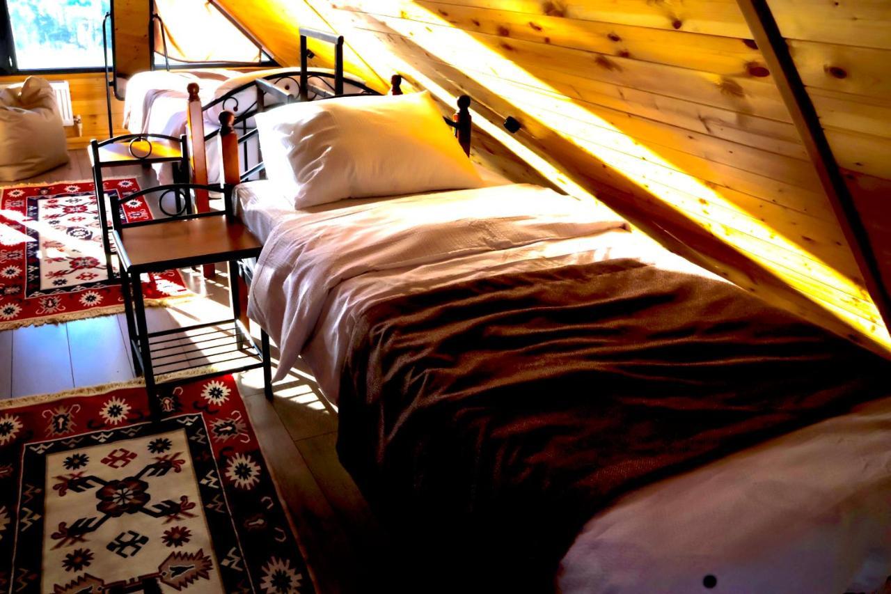 Cottage Mtachy Kazbegi Exterior foto
